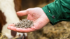 Alltech: Global animal feed production remained steady in 2023