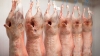 QMS: Firm start for new season lamb supported by strong export demand