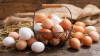 Germany: Poultry meat and eggs are produced sustainably and are important for a balanced diet
