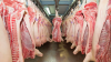 Rabobank anticipates an adjustment in global pork production in 2026