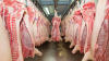 Germany exports more pork to third countries