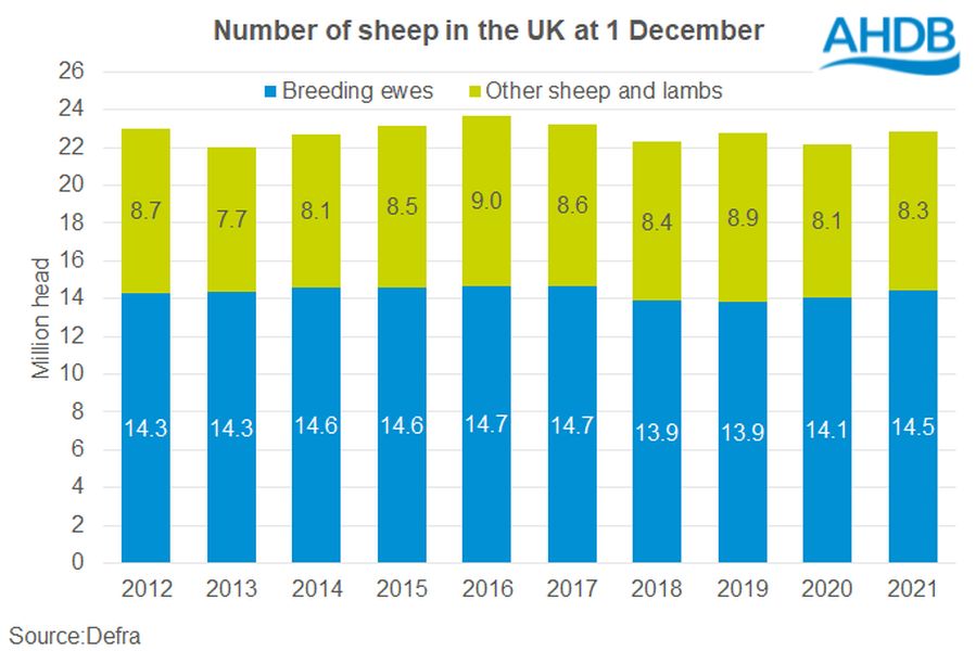December sheep census