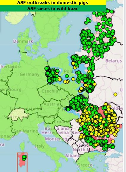 Screenshot 2022-03-04 at 12-09-03 African swine fever situation in Europe-Presentation-AGRI Meeting 2021 09 01 - ASF EU upd[...]